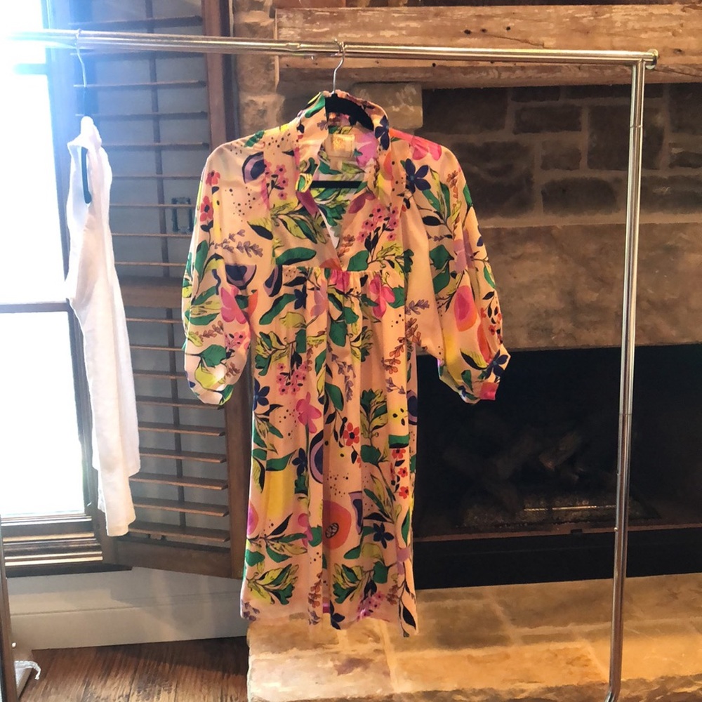 XS Emily McCarty dress